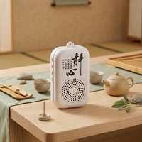 Haut-parleur Coran portable à porter autour du cou pour lecteur musulman sans fil 5.0, audio de prière islamique, écran tactile, portable