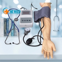 Simulador de medición de presión arterial de brazo maniquí de PVC de ciencia médica para modelo de inyección de entrenamiento humano