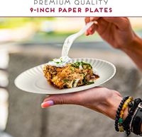Assiettes en papier jetables de 9 pouces, lot en vrac d'assiettes en papier non enduites pour la vaisselle, les repas, les fêtes et les pique-niques