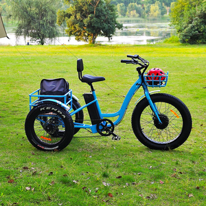 Pneumatico grasso trike elettrico altre <span class=keywords><strong>bici</strong></span> cargo city road e bike <span class=keywords><strong>con</strong></span> cestello posteriore Max 200kgs - Product Image 6