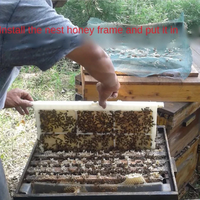 Fabrik preis Imkerei Werkzeuge Kunststoff Bienen rahmen für Bienen kamm Honig rahmen