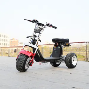 Three Wheel Big Power Electric Passenger Tricycle Reverse Trike 4000w Electric Scooter Citycoco for Adult