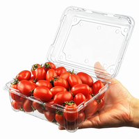 Transparante PET fruit clamshell verpakking met ventilatie, wegwerpbaar, van gerecycled RPET, geschikt voor pruimen, druiven en bessen, voedselveilig, groothandel.