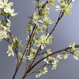 Flores Artificiales de Astrantia, Hierba Decorativa para <span class=keywords><strong>el</strong></span> Hogar, Plantas Artificiales, Plantas Decorativas para Paisajismo, Plantas de Plástico, Follaje Artificial - Product Image 3