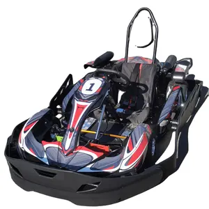 Kart de carreras eléctrico para adultos, Kart de alta velocidad, barato, 2000w/3000w