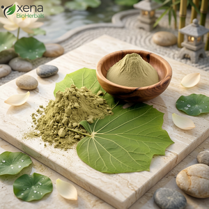 Extracto de Hoja de Loto en Polvo de Alta Calidad, Extracto de Hoja de Loto Natural Puro, Fabricante Mayorista - Product Image 1