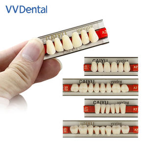 שיניים פתולוגיות טידוונט אנדודונטי חניכיים מחלת שיניים למבוגרים מודל שיניים שיניים שרף סינתטי שיניים a2 a3 - Product Image 1
