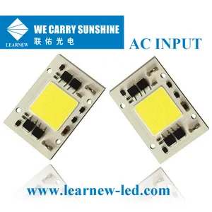 Illuminazione esterna fabbricata serie 4060 AC 200V 220V 230V 240V 30W led chip 50w AC COB LED Chip
