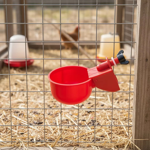 Nouvel équipement d'élevage avicole : Abreuvoir automatique PP pour poulets et cailles (humide/sec) - Product Image 4