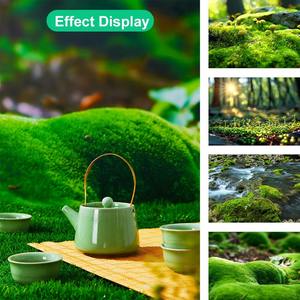 <span class=keywords><strong>Printemps</strong></span> photographie toile <span class=keywords><strong>de</strong></span> fond 57*87cm 2 côtés vert forêt herbe jardin parc <span class=keywords><strong>paysage</strong></span> décoration <span class=keywords><strong>Photo</strong></span> Shoot Studio fond - Product Image 5