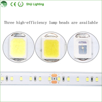 Lampu Strip LED Fleksibel RGBW DC 12V 5050 5m 96 LED/m IP33 6000K Tembaga dengan Kontrol Suara USB/Wi-Fi