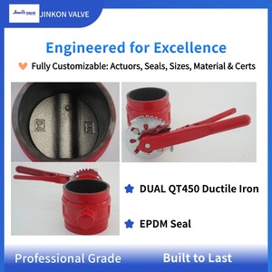 中国直销工厂D81X-16Q槽形蝶阀，QT450球墨铸铁阀板EPDM密封件，工业阀门批发 - Product Image 3