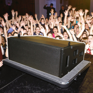 Thinuna L-210-T passivo Dual 10 "3-Way <span class=keywords><strong>Line</strong></span> <span class=keywords><strong>Array</strong></span> sistema di altoparlanti di livello professionale <span class=keywords><strong>Audio</strong></span> impermeabile neodimio Driver Speaker - Product Image 5