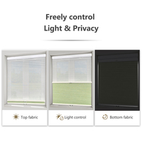 Stores électriques en nid d'abeille de jour et de nuit à double conception cellulaire Alexa Zigbee Control Window Shades For Home Accessories Decoration