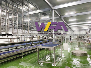 Ligne d'équipement d'abattage automatique des moutons, convoyeur de transformation de la viande, transformation alimentaire <span class=keywords><strong>halal</strong></span> internationale, <span class=keywords><strong>abattoir</strong></span> de moutons 500 - Product Image 6