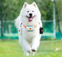 Collier de suivi GPS 4G en plastique pour animaux de compagnie, localisateur intelligent étanche GPRS pour chats et chiens, suivi en temps réel, application gratuite iOS Android GPSONE APP