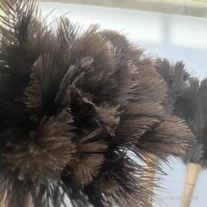 16 pouces Real Fluffy Grey Natural Cleaning Supplies <span class=keywords><strong>Plumeau</strong></span> d'autruche pour le nettoyage - Product Image 3