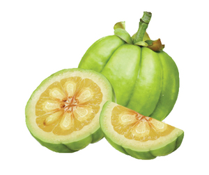 المورد الصيني توريد كبسولة غاركينيا كامبوغيا غاركينيا كامبوغيا gummies - Product Image 3