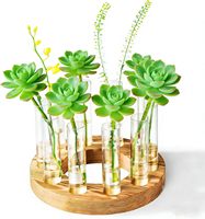 Melphoe Petits vases en verre pour fleurs, centres de table, décorations de mariage, décoration intérieure, station de propagation, terrarium pour plantes