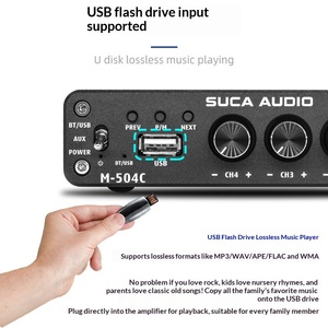 Amplificador de Potencia DAC USB de Alta Fidelidad para Audiófilos, de Aleación de Aluminio, 4.1 Canales, M504C, Diseño de Montaje en Rack 1U - Product Image 5