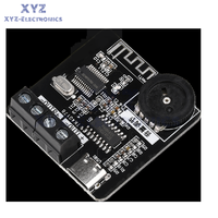 Module amplificateur de puissance audio numérique PLC PAM8403 (1-10 pièces) avec Type-C – Vente en gros