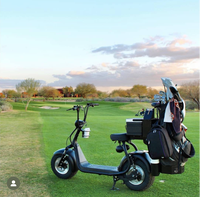 Voiturette de golf électrique intelligente Loyal X7 GPS 2 places, pliable, étanche, autonomie 60-100 km, pour chariot de golf