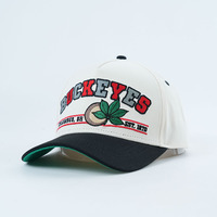 Casquette de baseball personnalisée à visière incurvée en tissu de coton bicolore, 5 panneaux, pour activités de plein air et sport