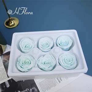 HFlora, venta al por mayor, alta calidad, cabeza de Rosa preservada eterna para siempre, cabeza de flor para siempre para el Día de San Valentín del amante - Product Image 5