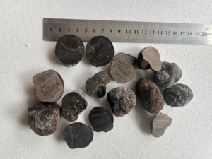 DETAN Wild Chinese Frozen Black Truffle <span class=keywords><strong>Precio</strong></span> - Product Image 2