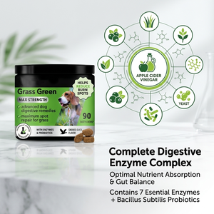 Masticables Naturales de Hierba para Perros con Probióticos y Multivitaminas, Neutralizador de Orina, Golosinas para el Césped, Suplementos para la Salud Urinaria e Intestinal - Product Image 2