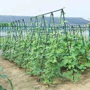 Hot Sale Tomato Cucumber Climbing <b>Pole</b> Plastic Coated Plant Support Stakes - Product Image 6