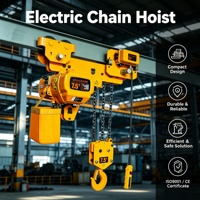 Nouvelle palan électrique à chaîne APAX CRANE 380V à faible hauteur de levage, mini 1000 kg 0,75 kW avec télécommande, protection IP55 pour usage en bâtiment