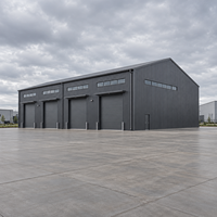 Grande structure en acier pour entrepôt, isolation acoustique, résistance à la corrosion, atelier métallique, stockage, usine logistique