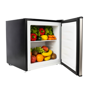 Réfrigérateur-congélateur portable mini 40L OEM, réfrigérateur pour la maison, le bureau, la chambre à coucher - Product Image 1