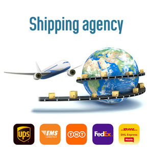 Spedizione Dhl spedizioniere dalla cina al Canada marocchino <span class=keywords><strong>Jordan</strong></span> spedizione inclusa - Product Image 3