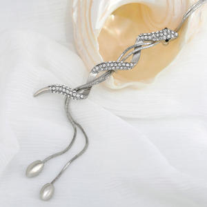 Moda çok yönlü sonbahar kış uzun yılan kolye kadınlar için kişiselleştirilmiş benzersiz kazak zinciri takı - Product Image 2