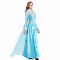 2022 vêtements adulte Costume femmes déguisement neige Elsa Costume pour adulte HCGD-056