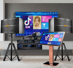 Ensemble de karaoké intelligent de bonne Chine Amplificateur blanc Haut-parleur avec microphone sans fil Connectivité TV et cinéma maison - Product Image 3