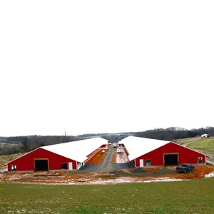 Architectural Design Poultry Farm Floor Type Steel Structure Prefabricated Broiler Chicken House