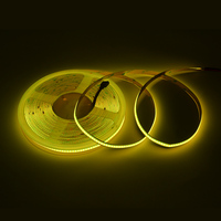 Nouvelle tendance Flexible 5M personnalisé 100 M extérieur étanche 24V 10M Smart Cob Rgb Led bandes lumineuses