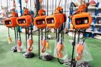 Palans électriques à chaîne 0,5-5 tonnes |   Palans de levage compacts pour atelier et entrepôt |   Certifié CE