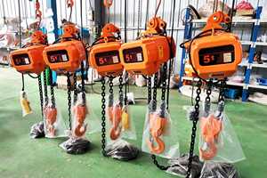 China fabricante de la grúa polipasto de bloques de cadena de venta al por mayor - Product Image 5