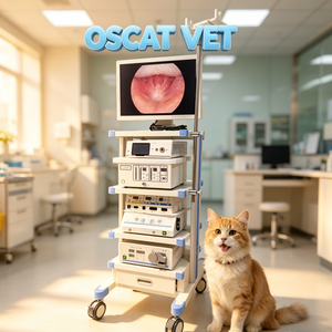 Endoscope CMOS OSCAT pour cliniques vétérinaires, inspection et traitement des animaux avec un grand angle de flexibilité - Product Image 1