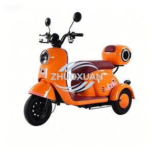Tricycle électrique robuste et sûr, haute puissance, pour deux personnes, utilisation en voyage - Product Image 2