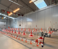 Ligne d'alimentation automatique pour poulets de chair et ligne d'abreuvement automatique, mangeoire et abreuvoir automatiques, ligne d'alimentation pour volailles de chair