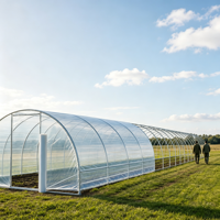 Nouvelle technologie de couverture de serre en film plastique transparent de 200 microns pour l'agriculture