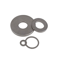 Rondelle plate ASME B18.22.1 SAE USS 30Cr13 1.4980 N08811 1.4562 Nitronic 601 Hastelloy C-22 M30 M36 M42 M48