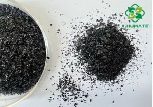 خلاصة الأعشاب البحرية العضوية X-humorganic Extract حار بيع-ate نقية قابلة للذوبان في عشب البحر - Product Image 5