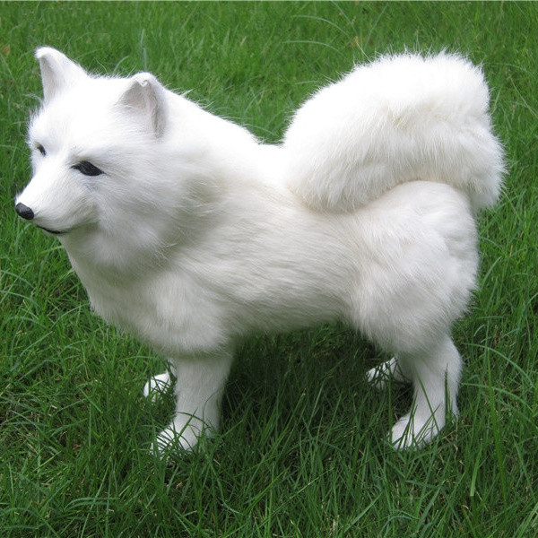 Blanco