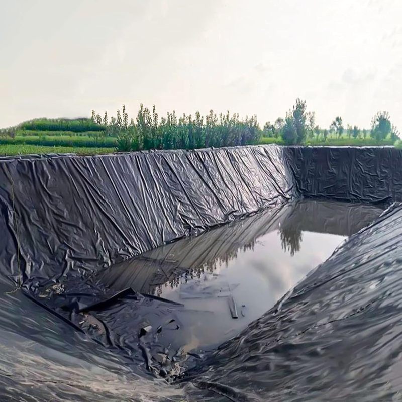 Industrial Design Large HDPE Geomembrane Fish